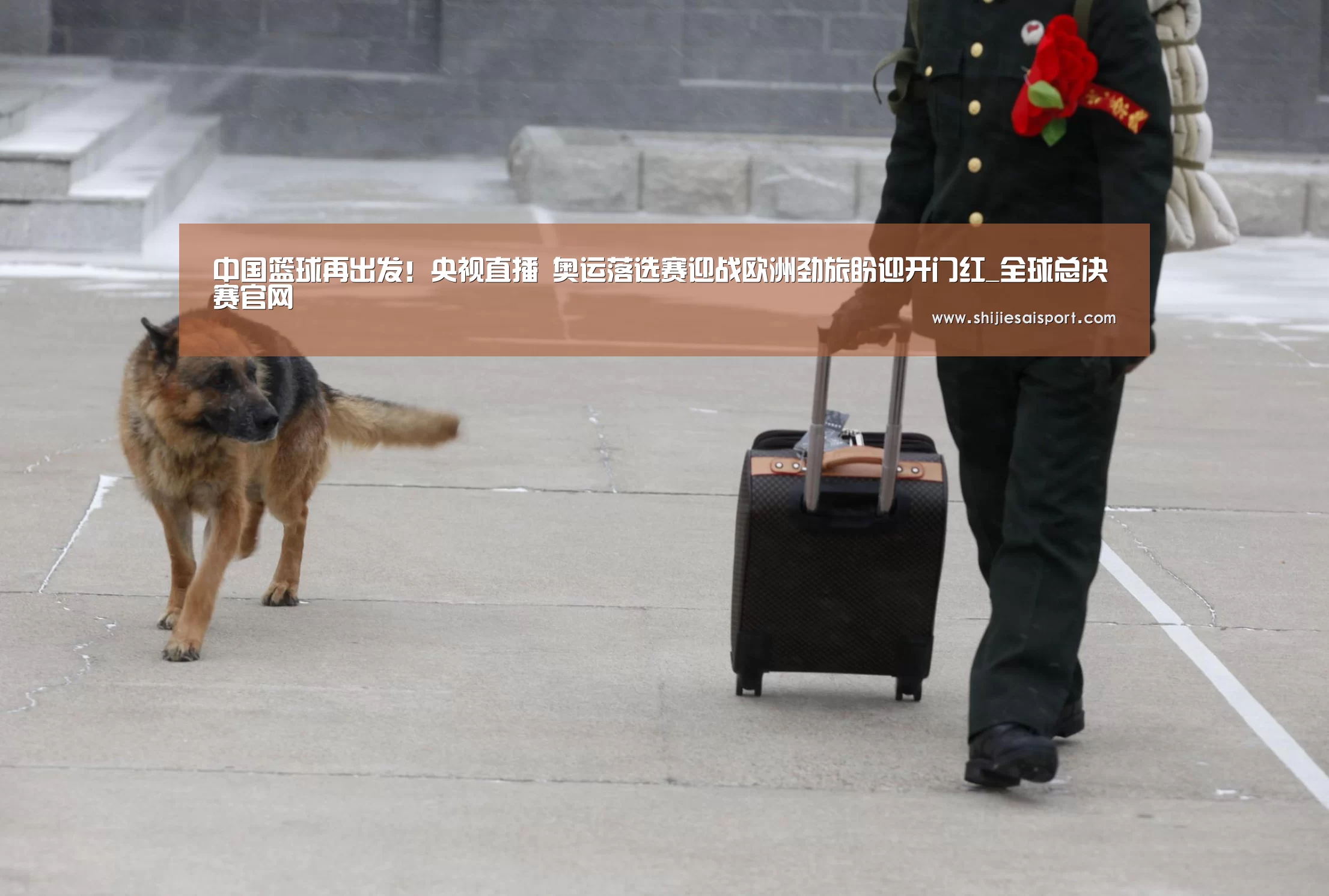 全球总决赛官网