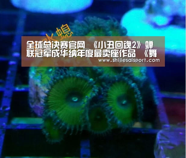 全球总决赛官网_《小丑回魂2》蝉联冠军成华纳年度最卖座作品 《舞女大盗》开画超预期(图1) 世界赛官网