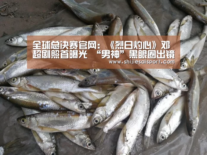 世界赛官网