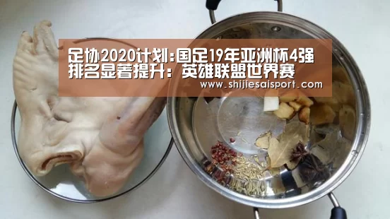 足协2020计划:国足19年亚洲杯4强 排名显著提升:英雄联盟世界赛(图1) 全球总决赛官网