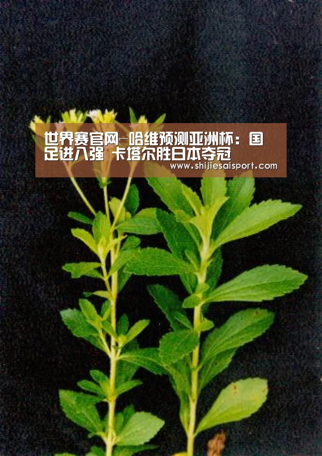 世界赛官网-哈维预测亚洲杯:国足进八强 卡塔尔胜日本夺冠(图3) 全球总决赛官网